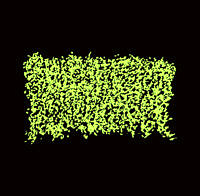 A-13175058-1706450929-4923